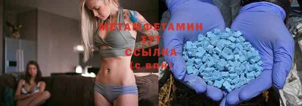 прущие грибы Верхний Тагил