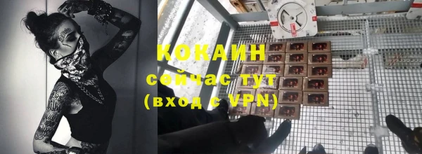 прущие грибы Верхний Тагил